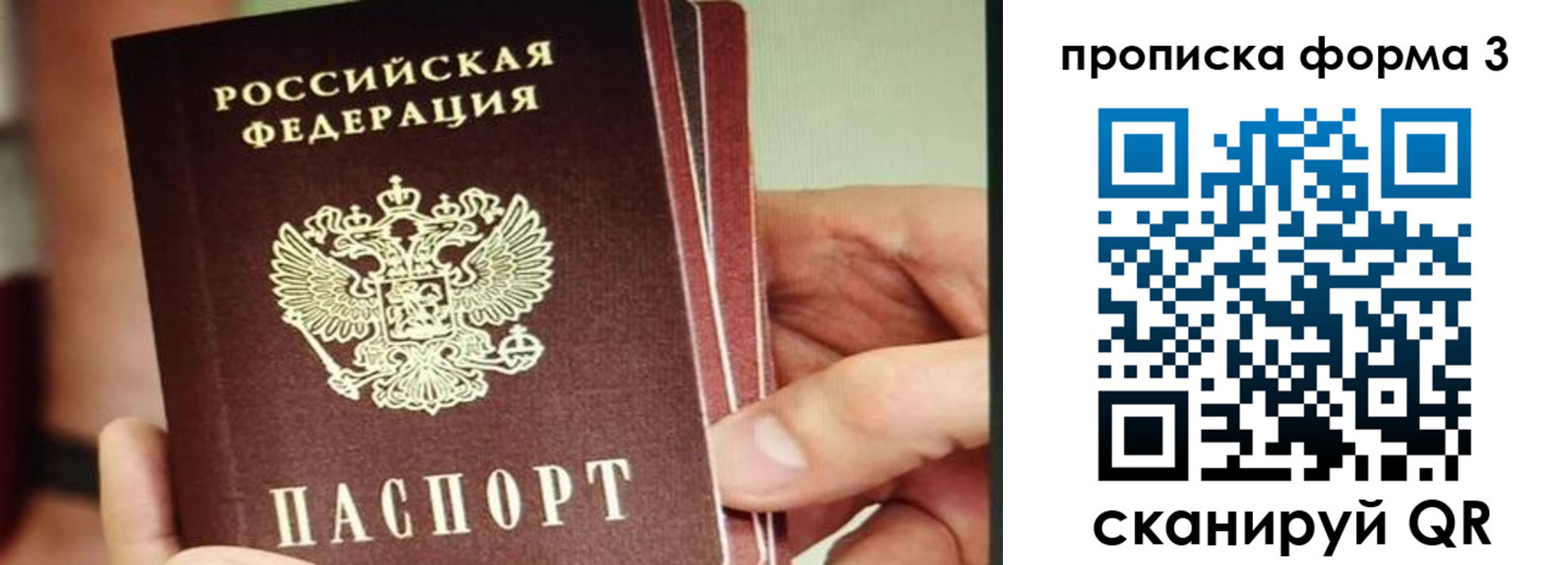 прописка законно в Жукове